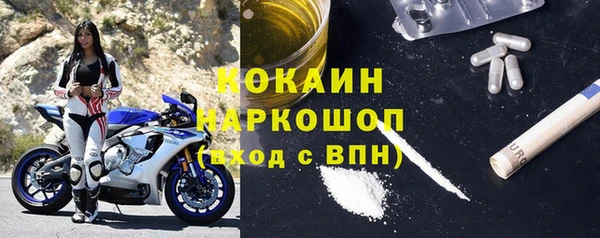 спиды Магас