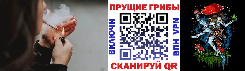 Псилоцибиновые грибы ЛСД  где купить наркотик  Ижевск 