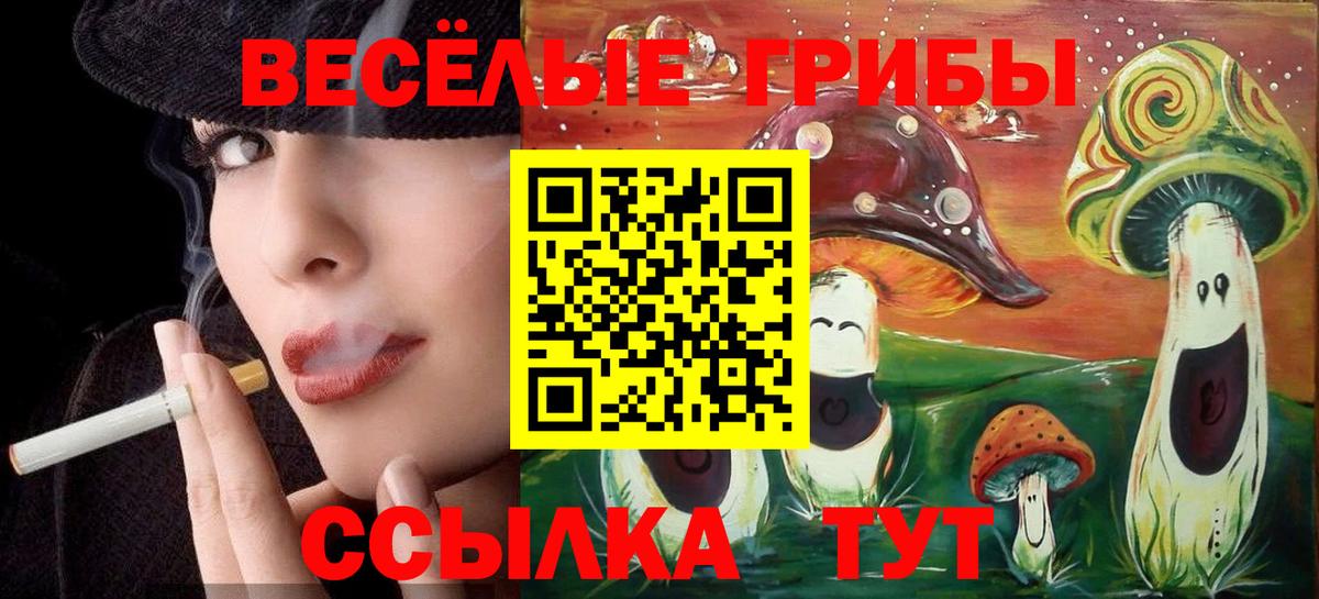 Псилоцибиновые грибы GOLDEN TEACHER  Ижевск  Псилоцибиновые грибы Psilocybe 