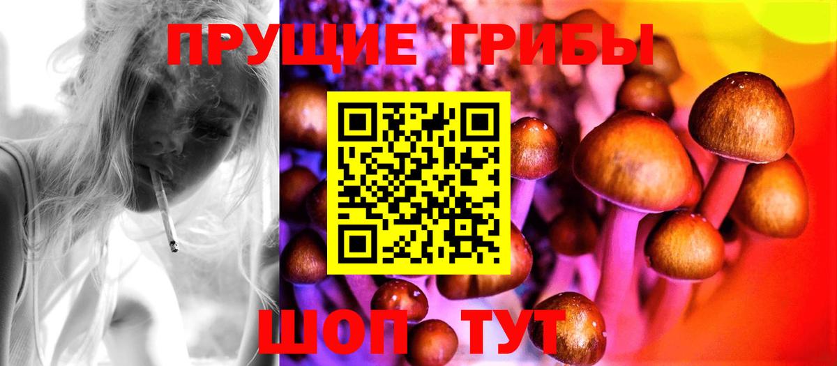 Псилоцибиновые грибы MAGIC MUSHROOMS Ижевск