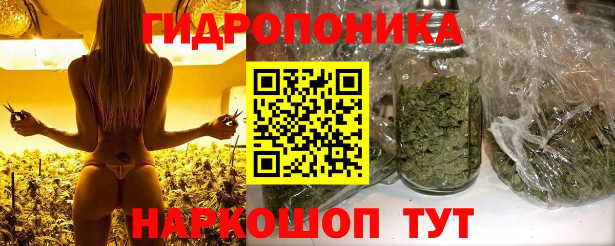 Каннабис Ganja  Ижевск  Каннабис семена  Канабис сатива 